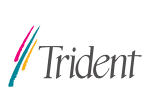 Trident Microsystems Drivers
