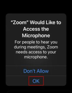 Zoom Microphone Access iOS